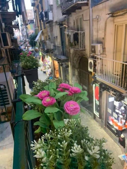 La Casa Di Patta A Spaccanapoli Exteriér fotografie